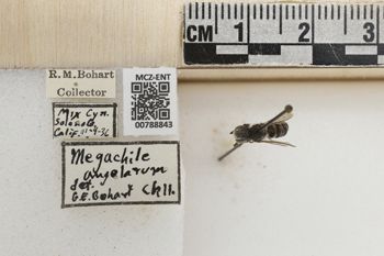 Media type: image;   Entomology 788843 Aspect: Labels
